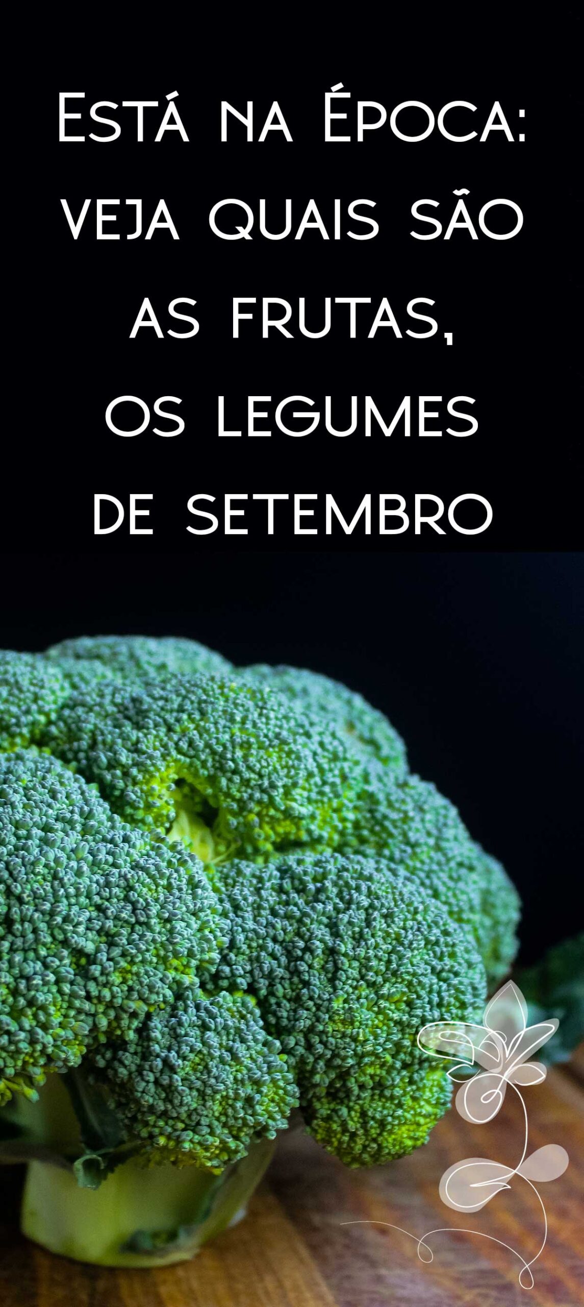 Está na Época: em setembro, compre os seguintes legumes!