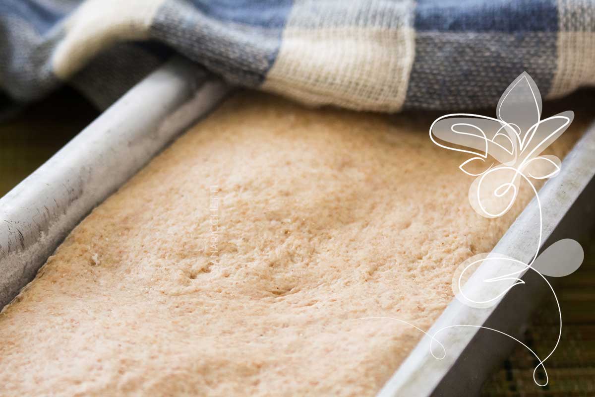 Receita de Pão Integral Caseiro - faça o seu pão e sirva no café da manhã da sua família.