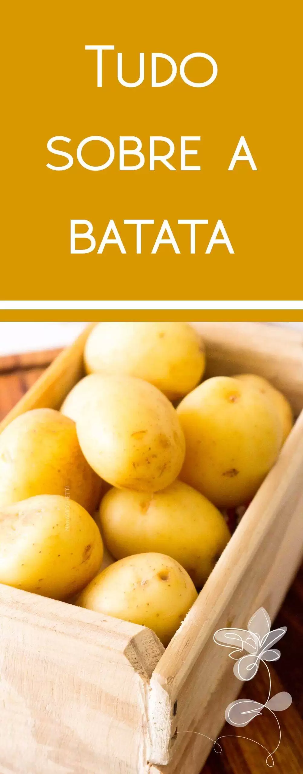 Aprenda a comprar batata e quais são os tipos para cada prato.