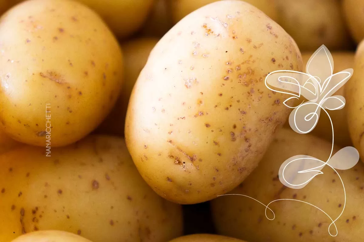 Receita de Conserva de Batata - nesse calor, sirva para petiscar ou na salada do almoço da semana.