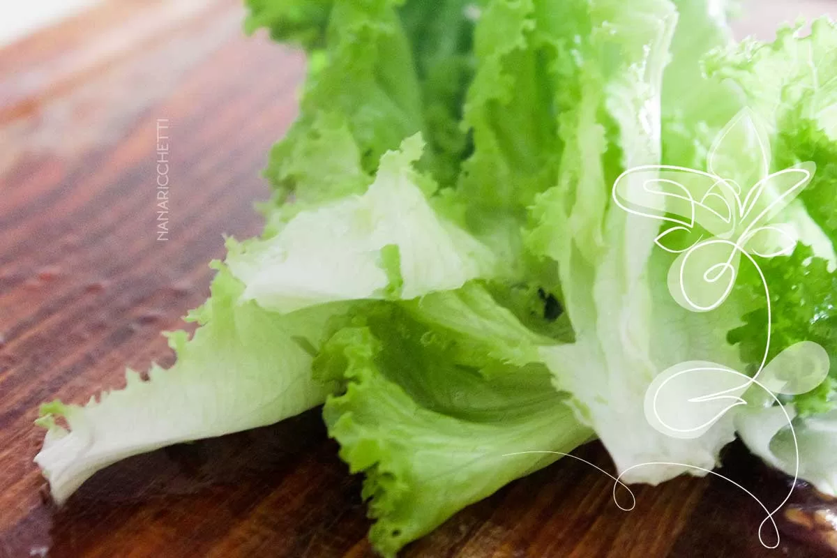 Receita de Salada de Feijão Carioca com Cenoura e Alface - faça um almoço de verão diferente com ingredientes básicos que tem em casa.