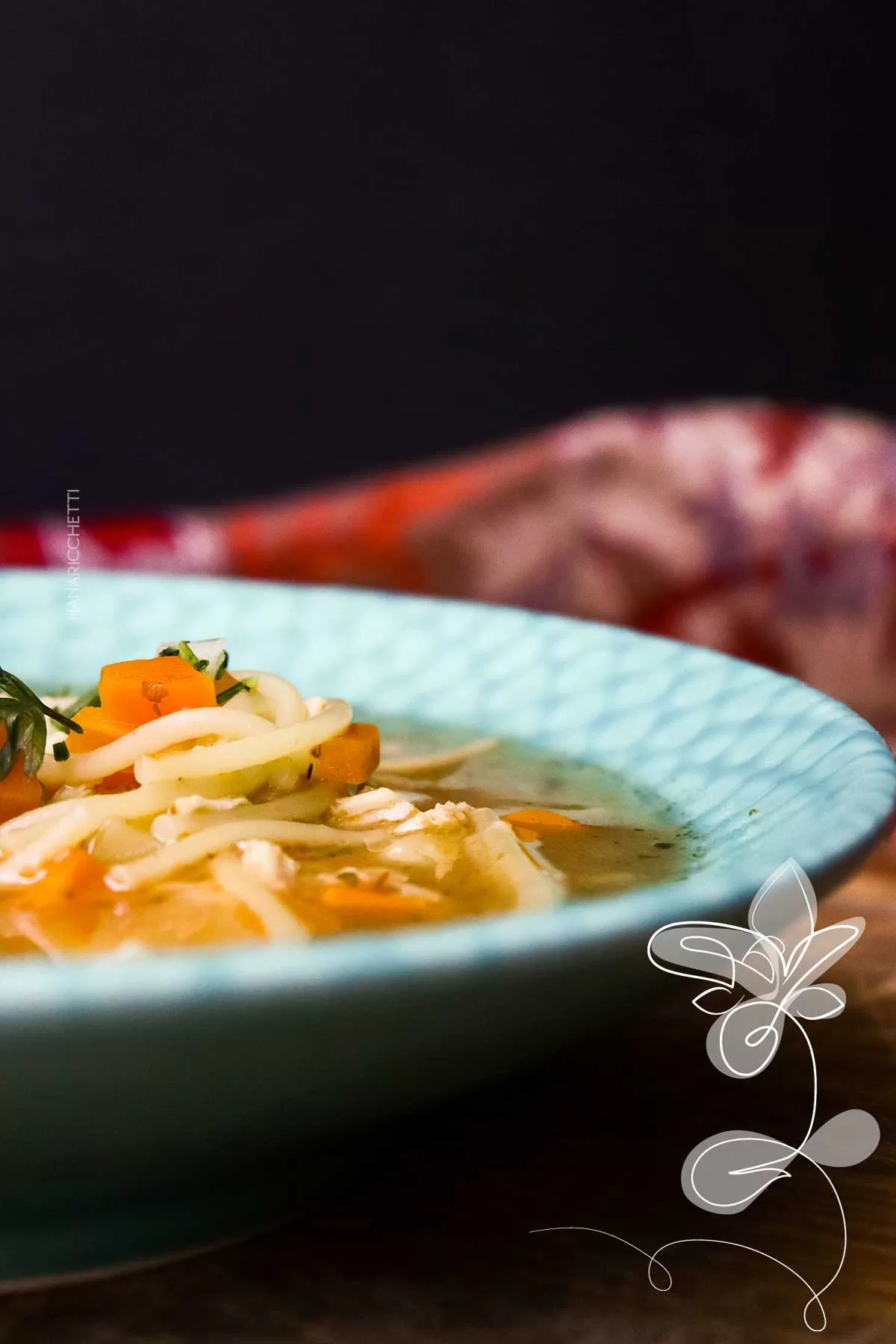 Receita de Sopa de Macarrão com Legumes e Frango - simples e perfeito para os dias frios.