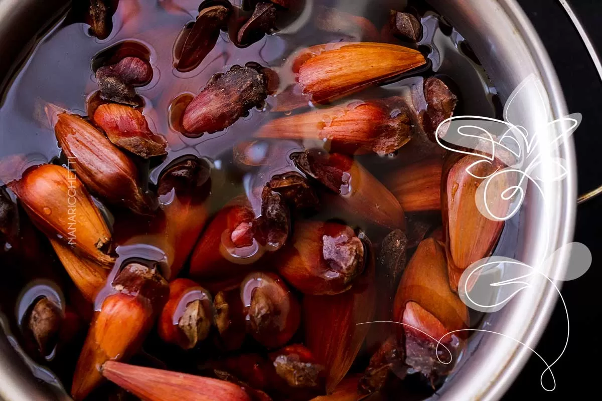 Aprenda a como cozinhar pinhão na panela normal!