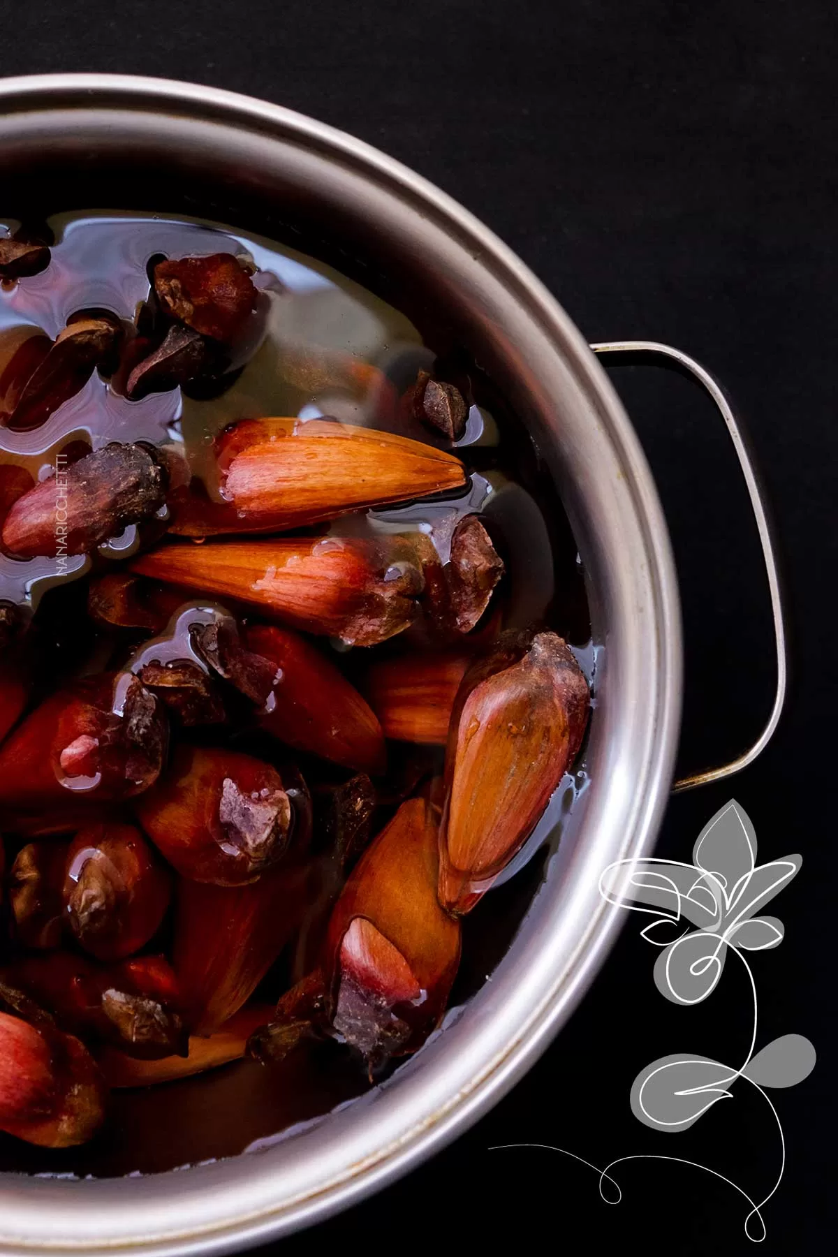 Aprenda a como cozinhar pinhão na panela normal!