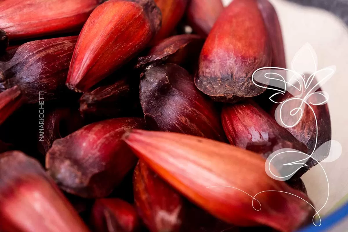 Aprenda a como cozinhar pinhão na panela normal!