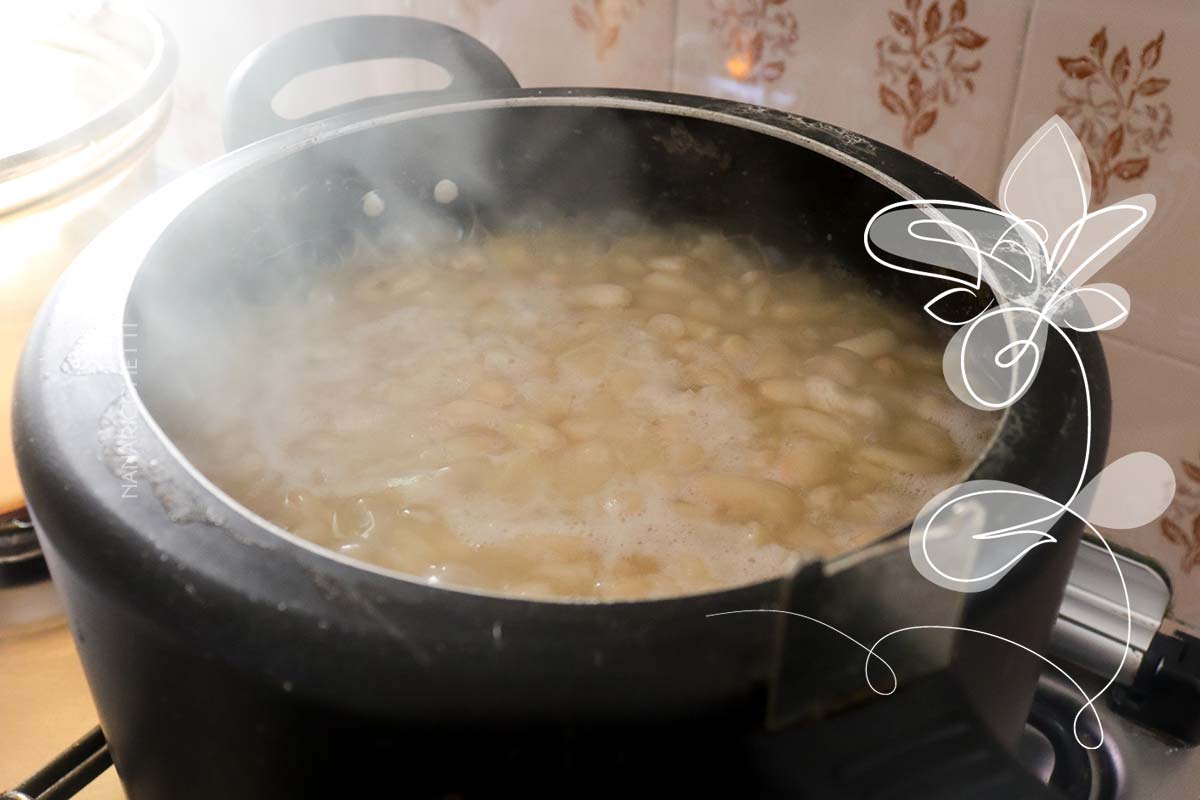 Receita de Bucho com Feijão Branco - veja o passo a passo para fazer uma dobradinha deliciosa em casa.